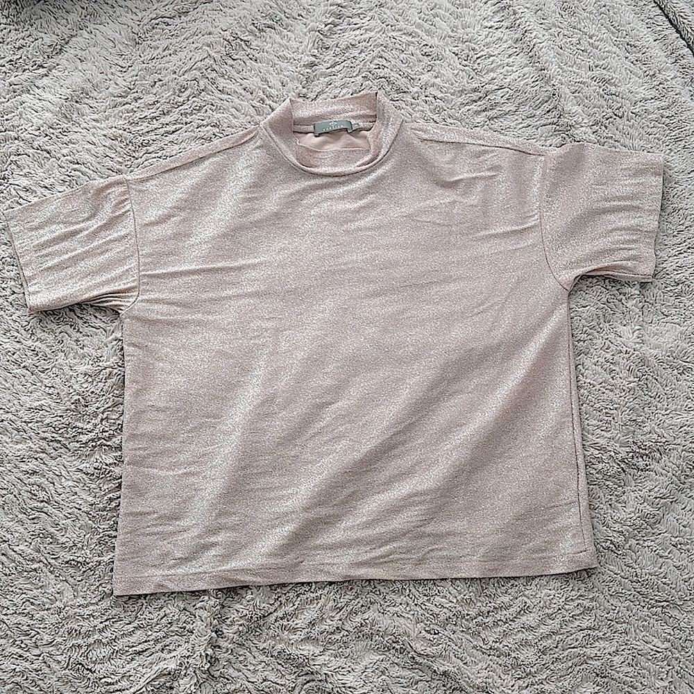 Large Beige Pink Top Shiny from Rareism